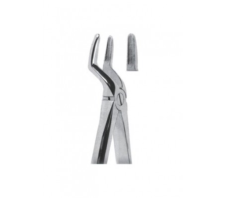 Extracting Forceps